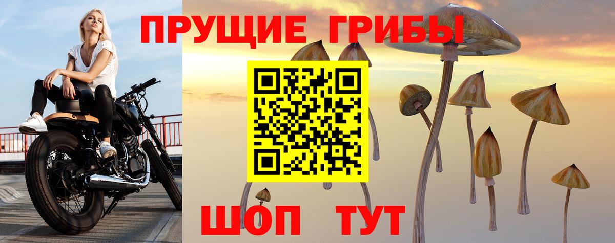 Псилоцибиновые грибы Psilocybine cubensis  Вход с VPN  Лениногорск 